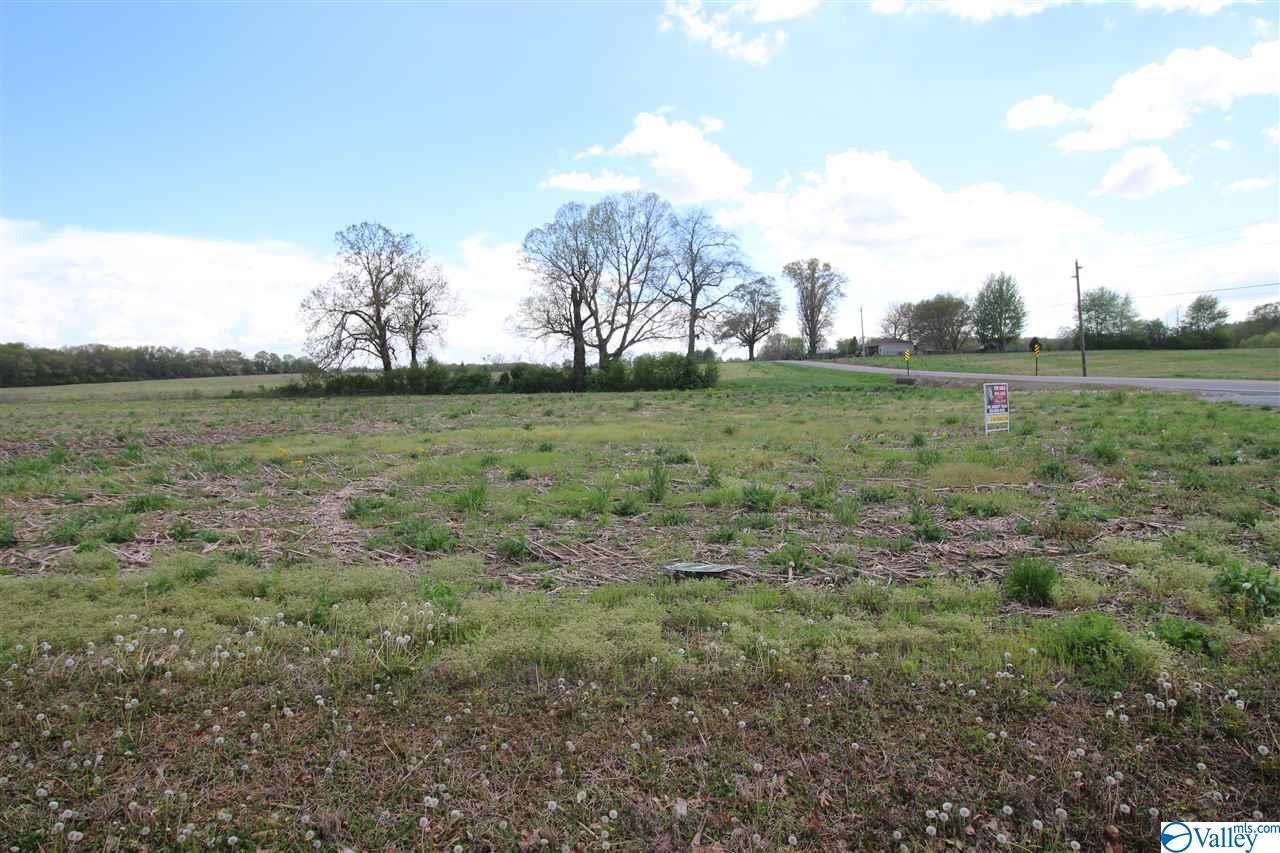 tract 10 Phillips Road - Photo 1