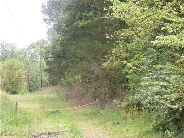 0 Rochell Drive - Photo 1