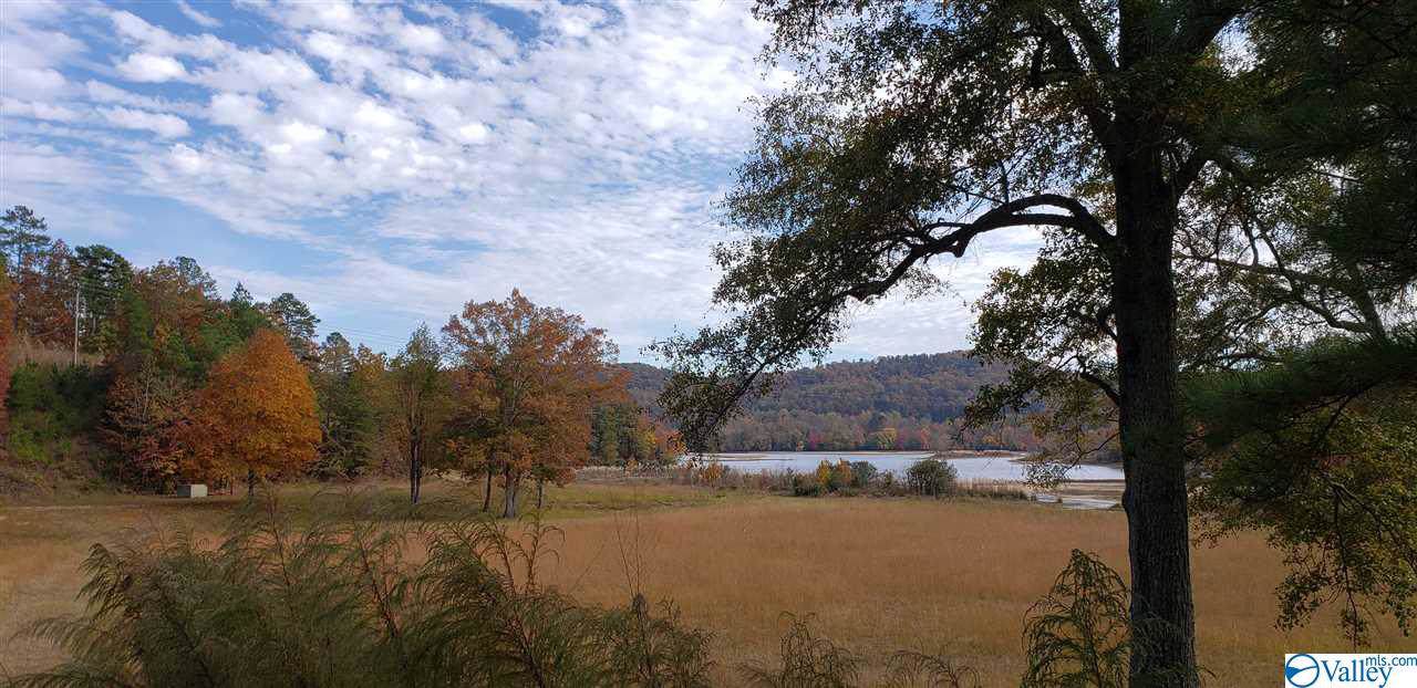 County Road 243 - Photo 1