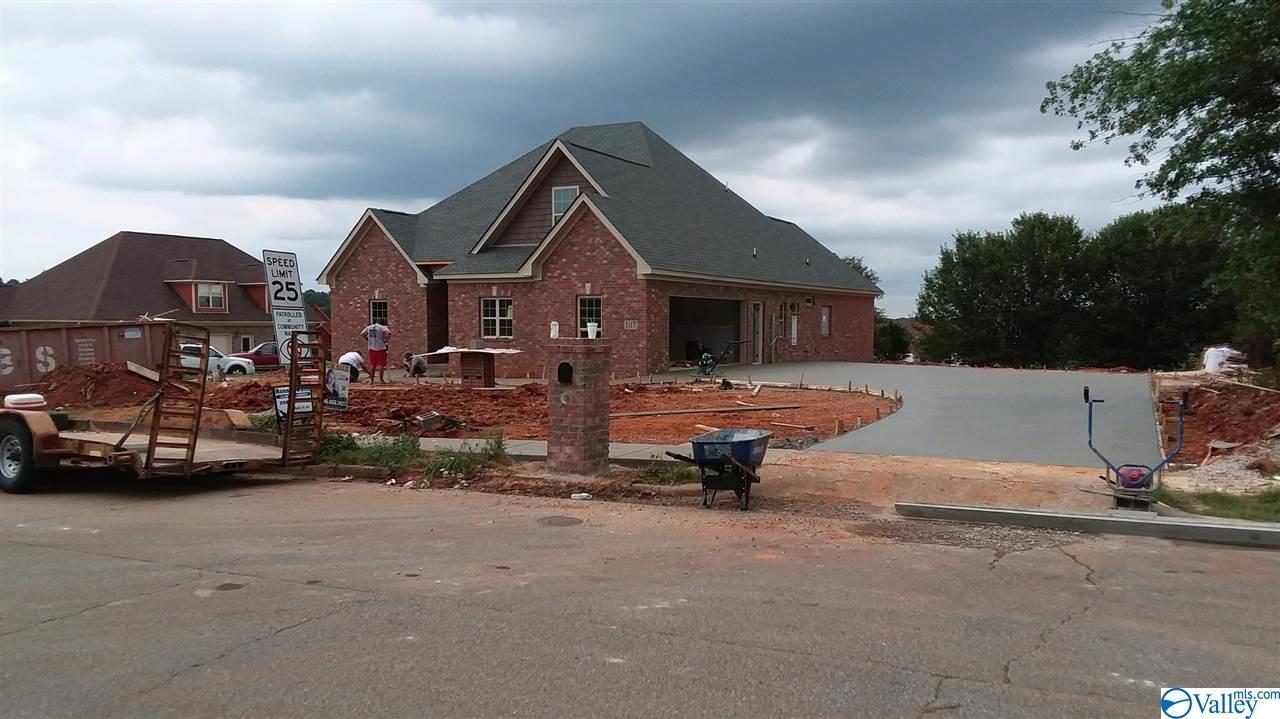 107 Taurus Drive - Photo 1