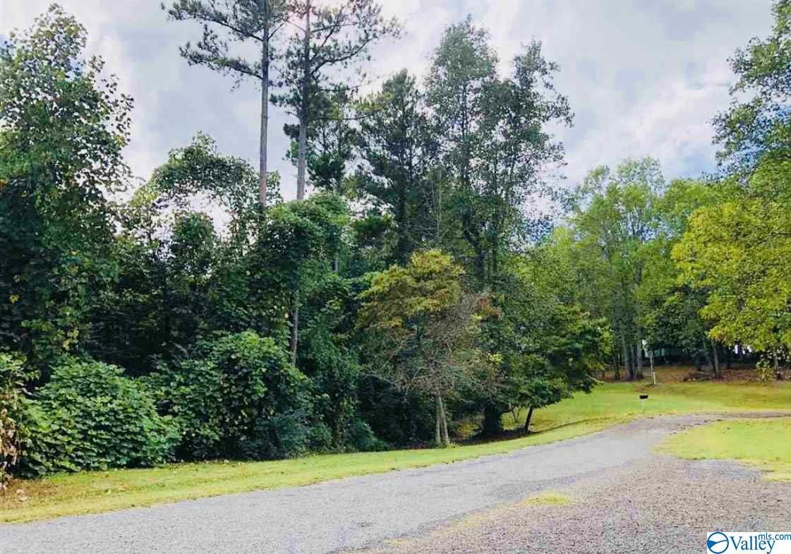 0 Anna Drive - Photo 1
