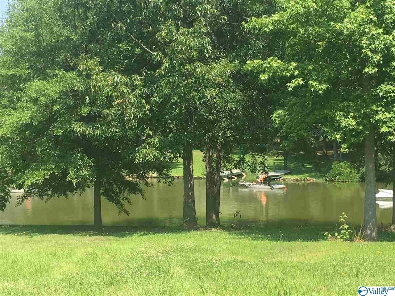 Lot 9 County Road 385 - Photo 1
