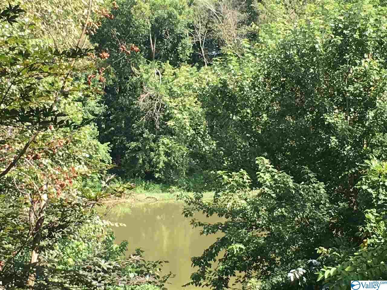 Lot 10 County Road 375 - Photo 1