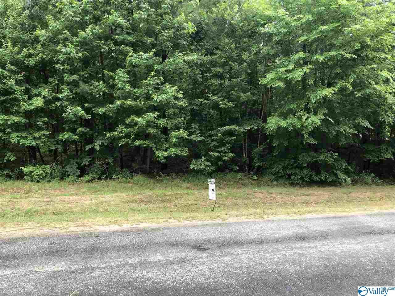 0 Fords Valley Road - Photo 1