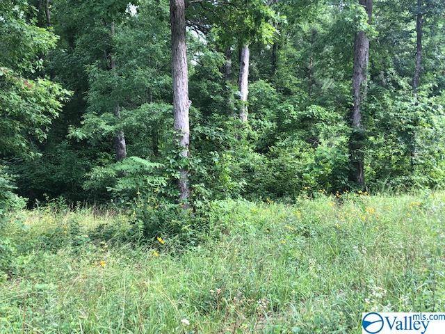 Blowing Springs Road - Photo 1
