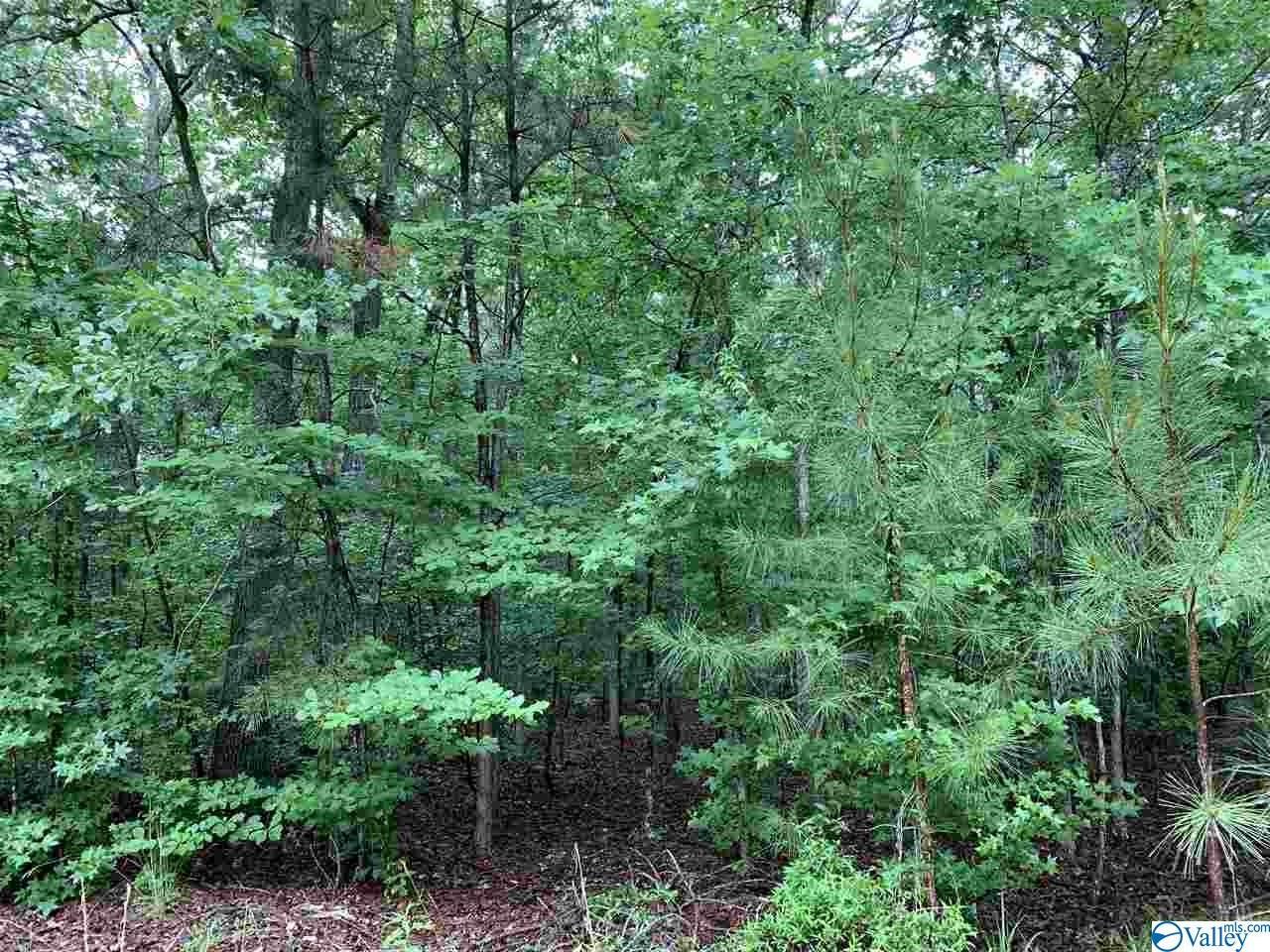 0000 County Road 698 - Photo 1