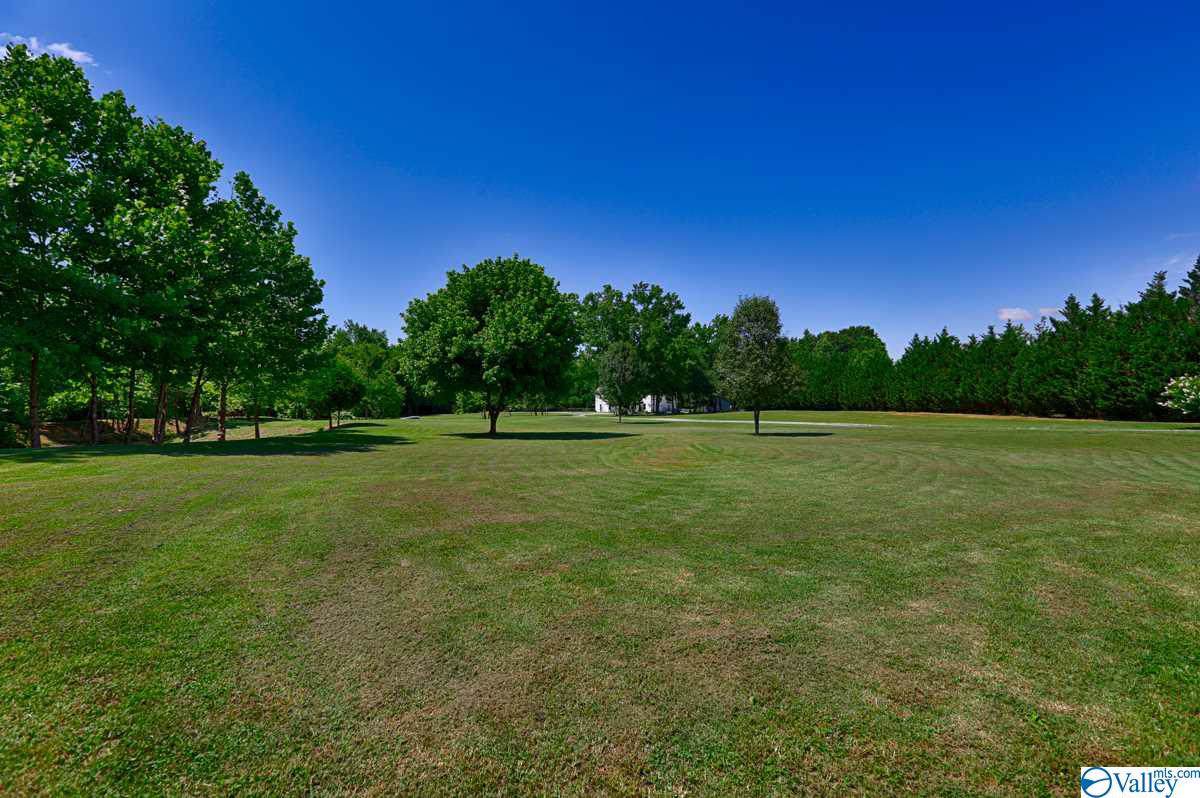 122 Merrilee Way - Photo 1