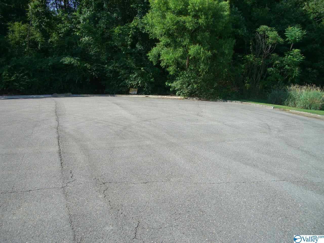 Lot 22 Paradise Place - Photo 1
