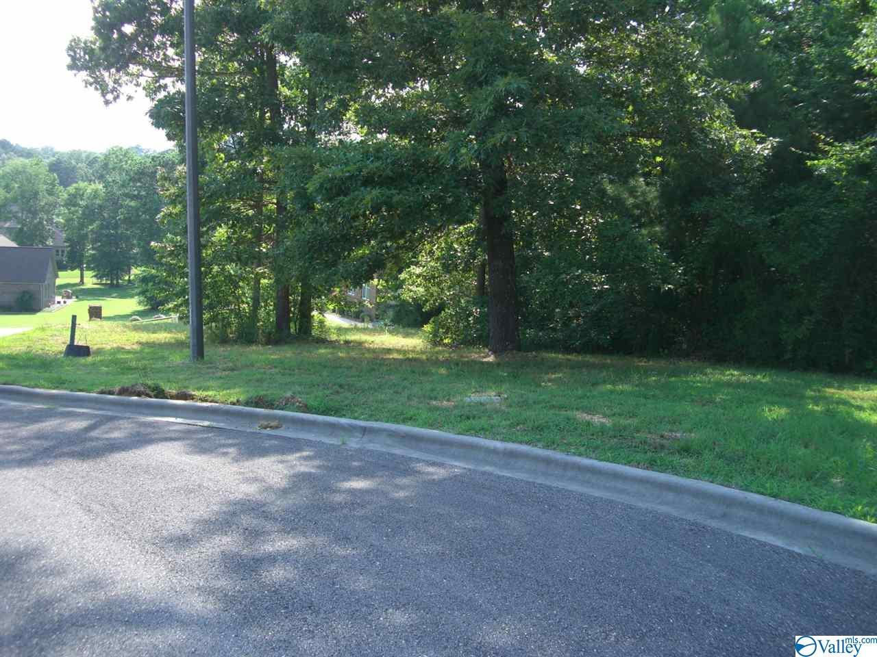 Lot 27 Paradise Place - Photo 1