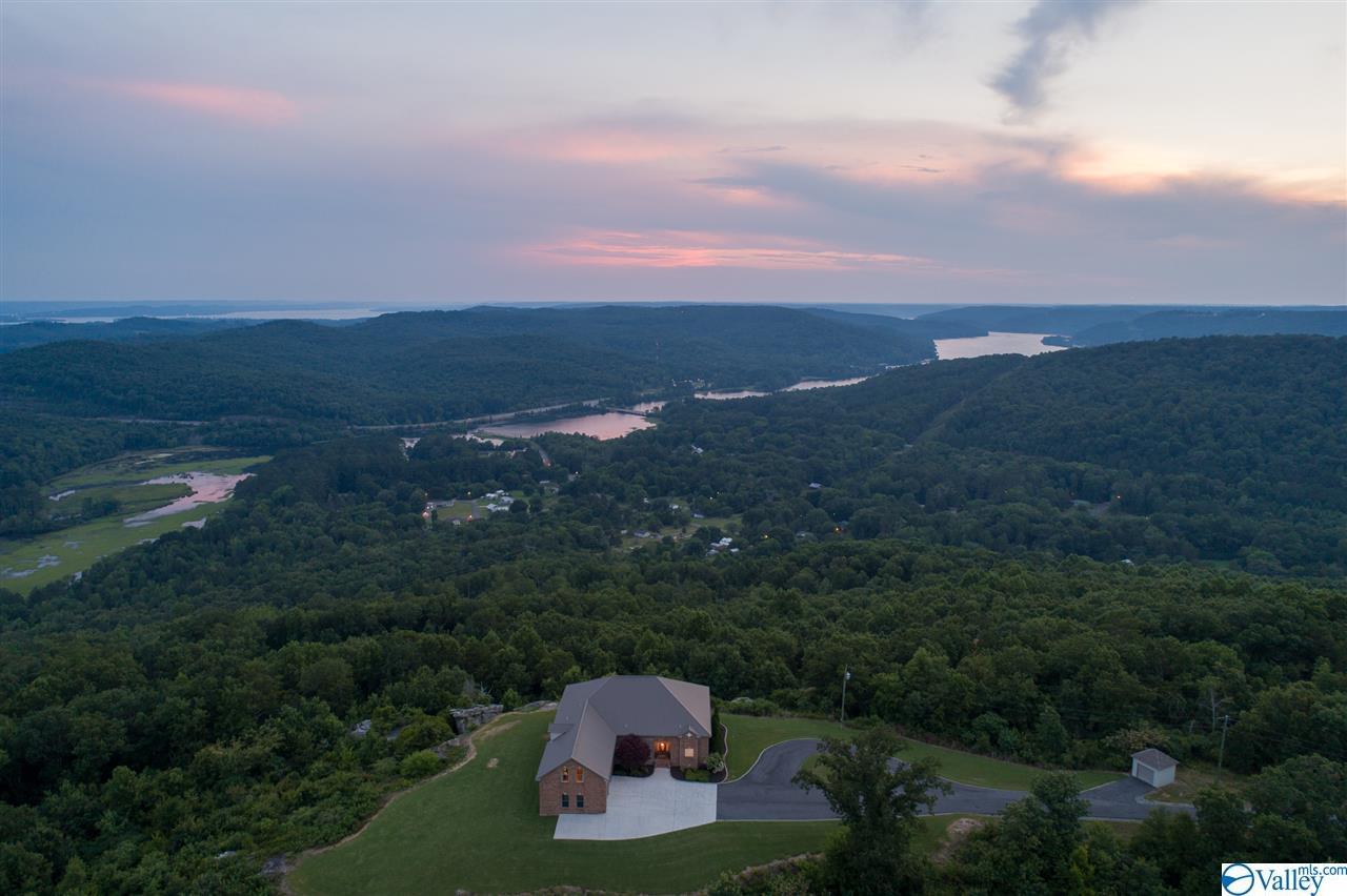 1000 Starnes Loop Road - Photo 1