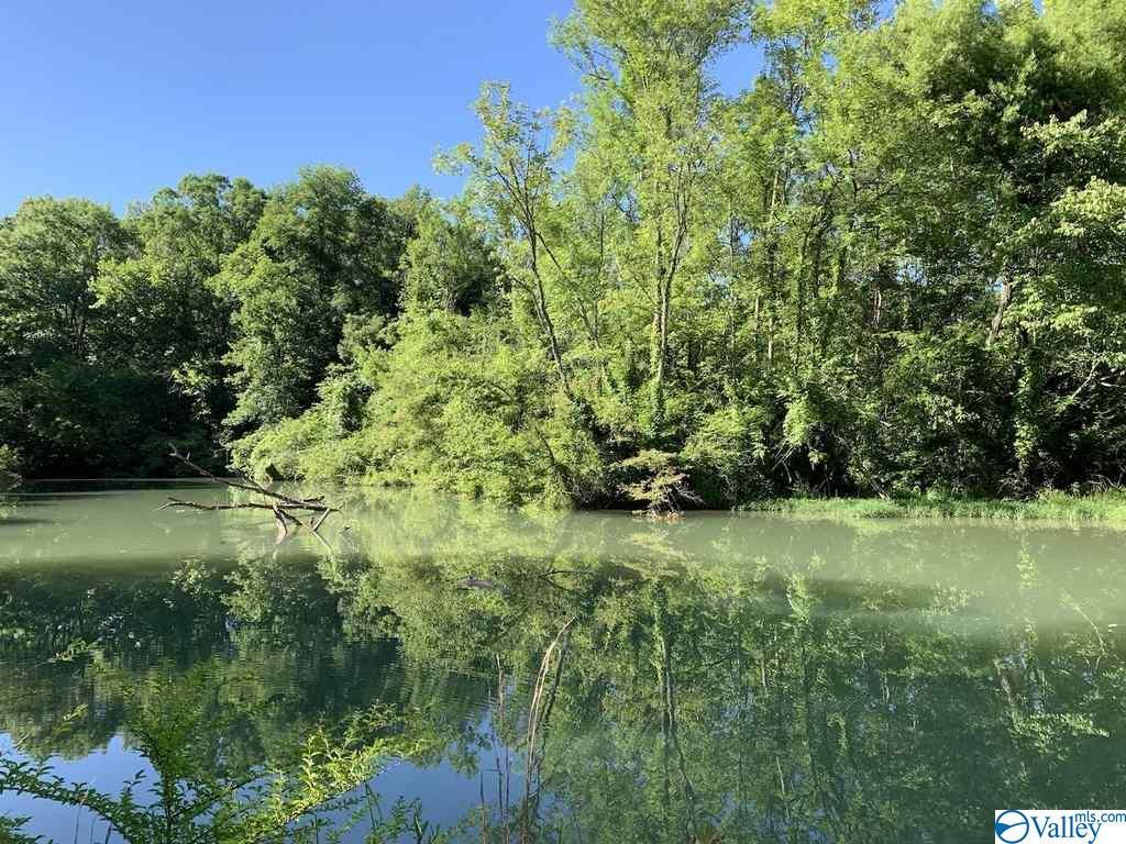 220 County Road 165 - Photo 1