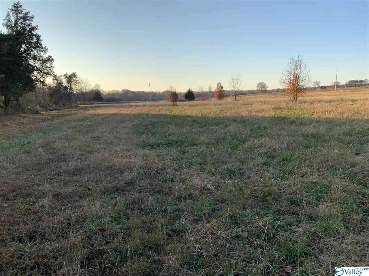 1115 J B Walker Road - Photo 1