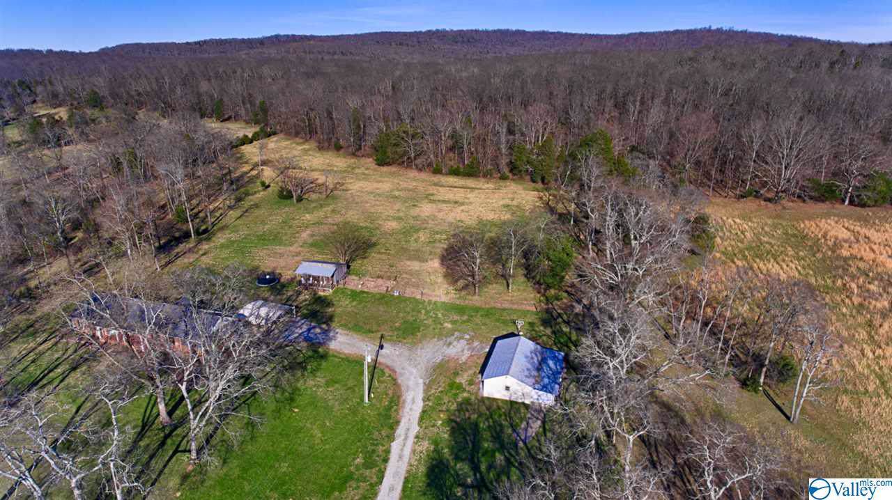 1241 Davis Road - Photo 1