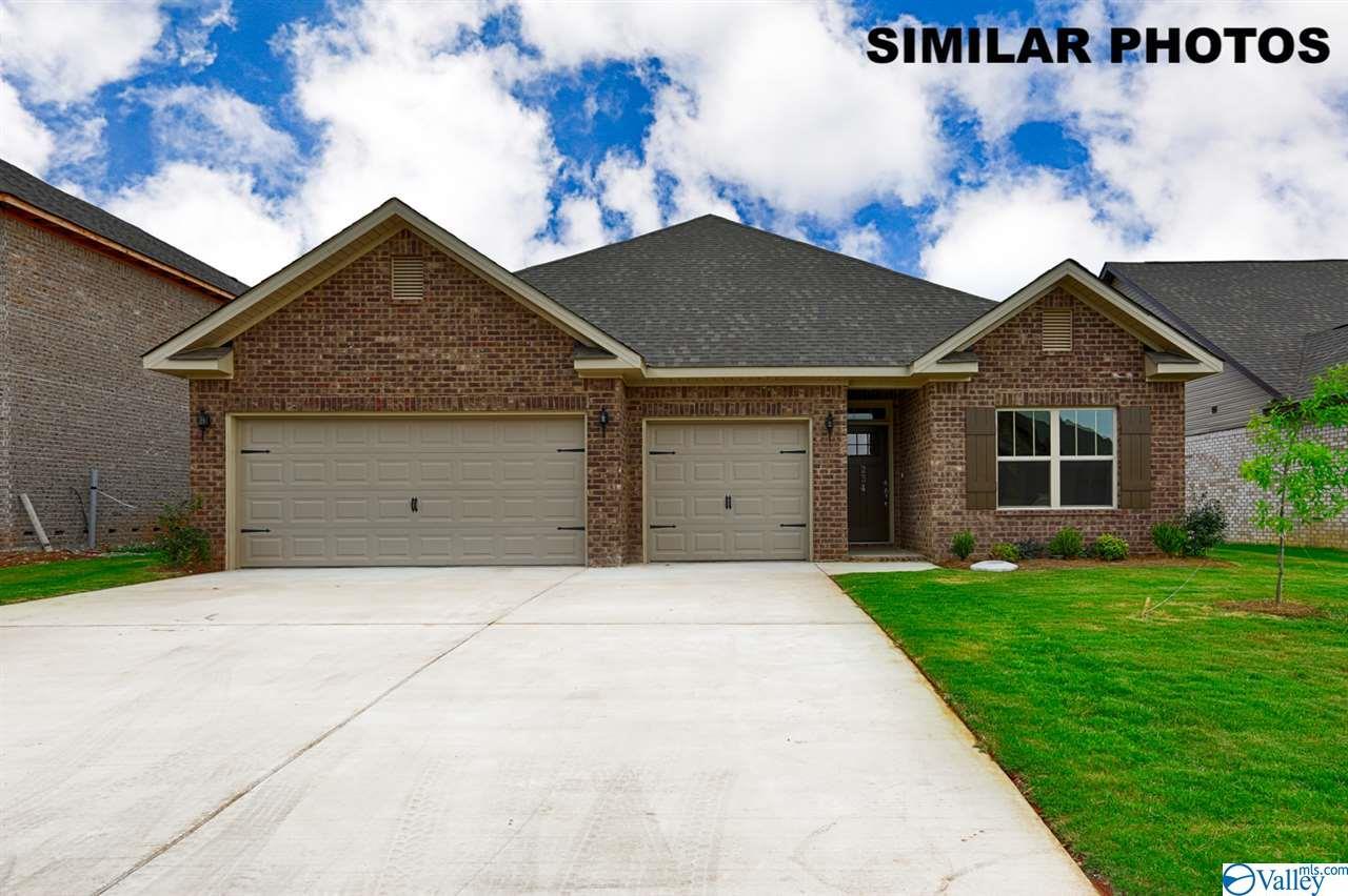 159 Holly Fern Drive - Photo 1