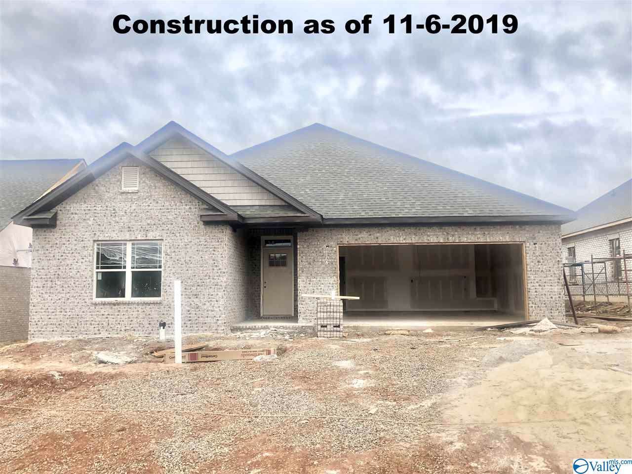 158 Holly Fern Drive - Photo 1