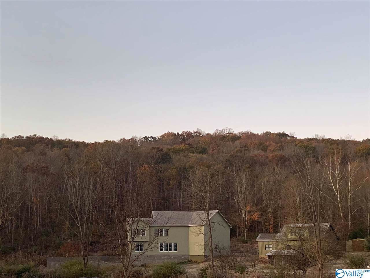 4103 Cathedral Caverns Road - Photo 1