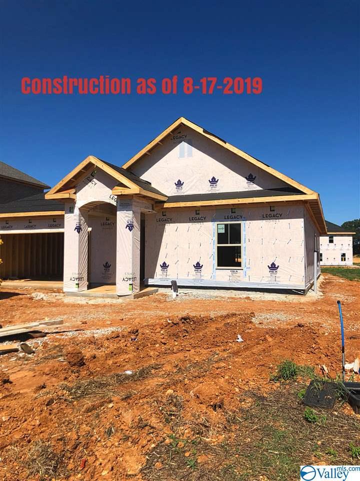 119 Saddle Street - Photo 1