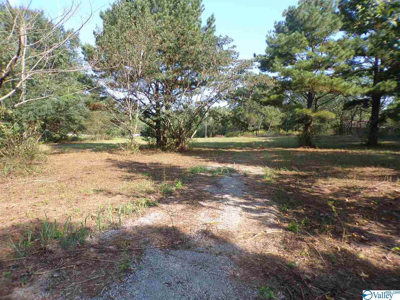 20860 County Road 150 - Photo 1