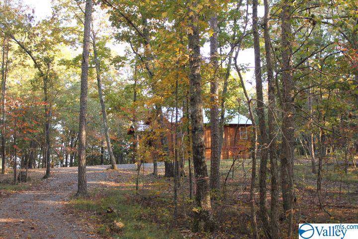 1600 County Road 103 - Photo 1