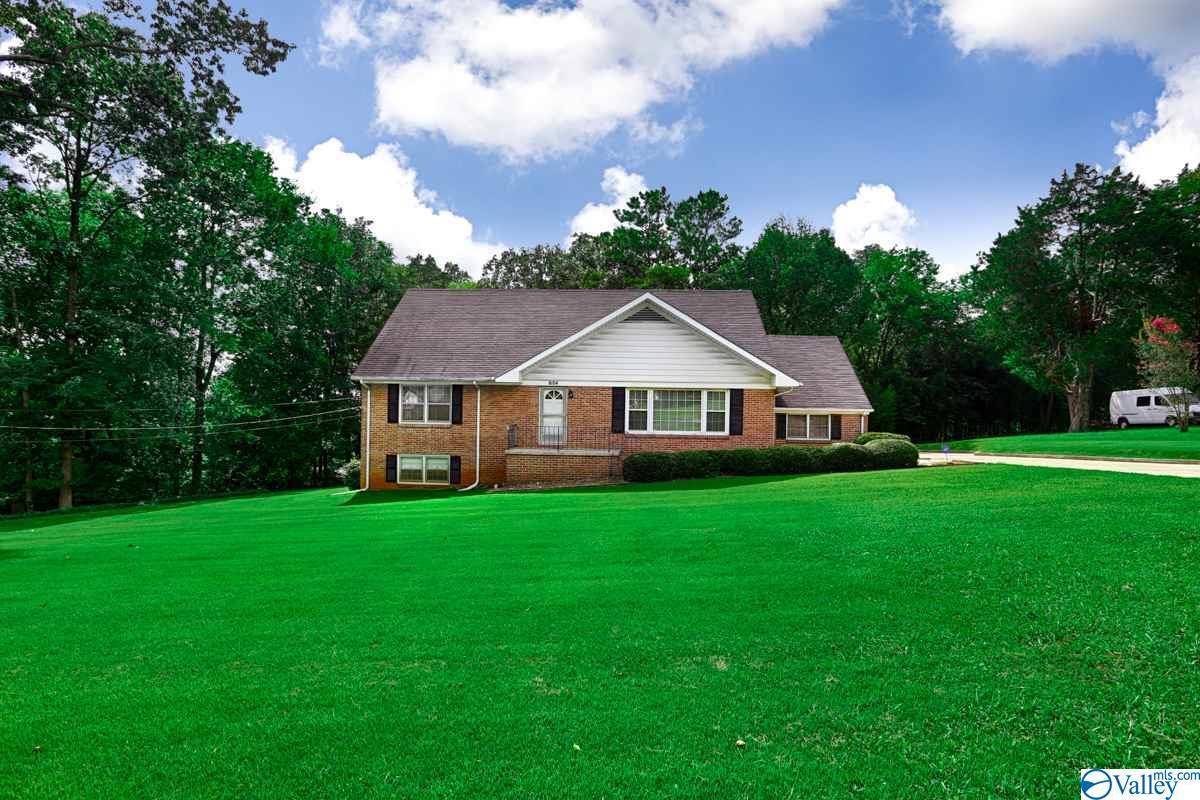 8104 Louis Drive - Photo 1