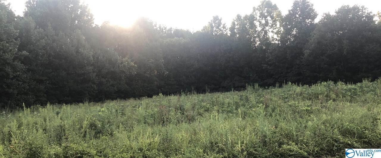 Nick Davis Road - Photo 1