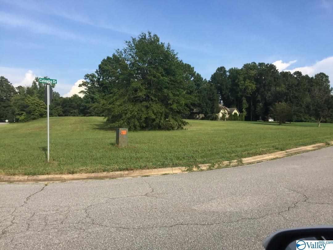 8908 Catawba Drive - Photo 1