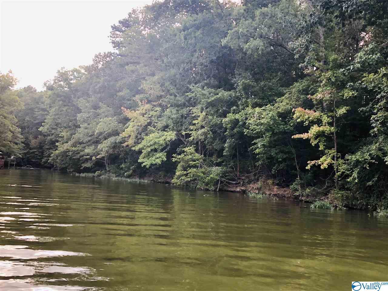43 County Road 513 - Photo 1