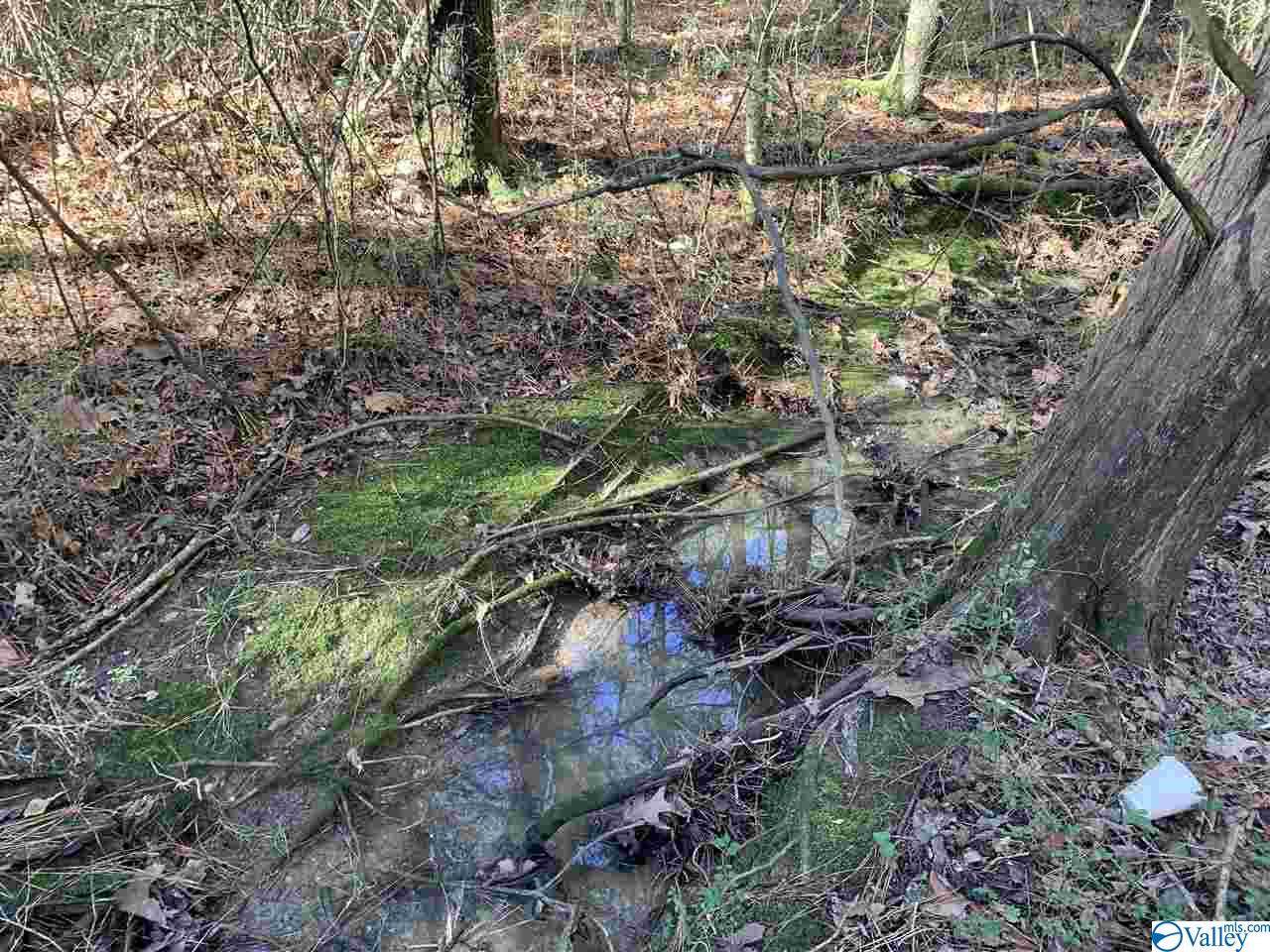 00 Greenway Drive - Photo 1