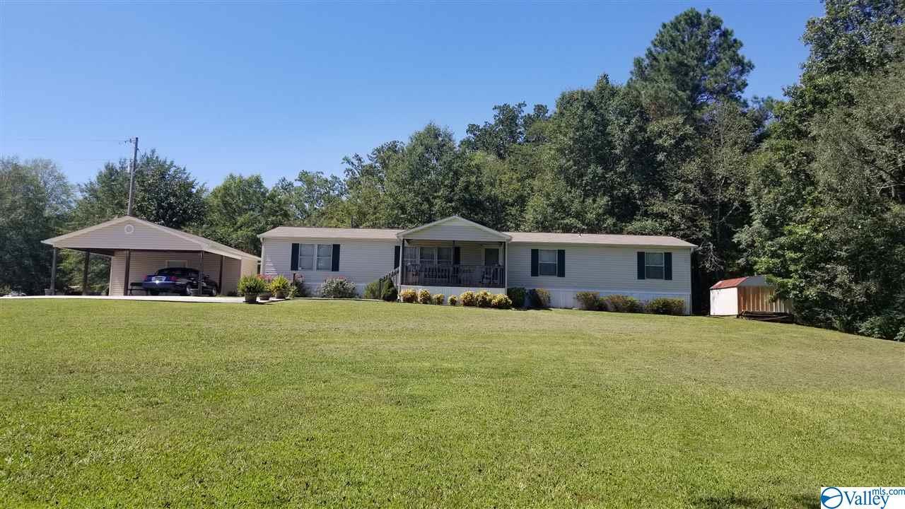 90 County Road 248 - Photo 1