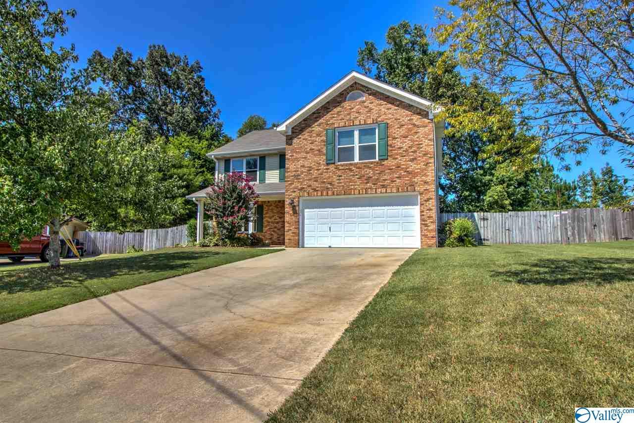 159 Brass Oak Drive - Photo 1
