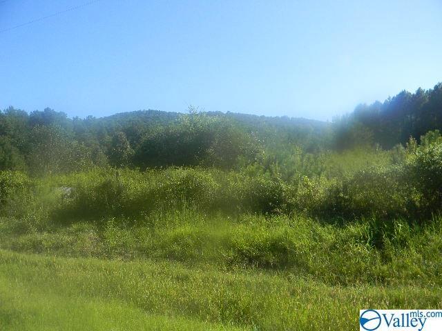 00 Hwy 67 - Photo 1