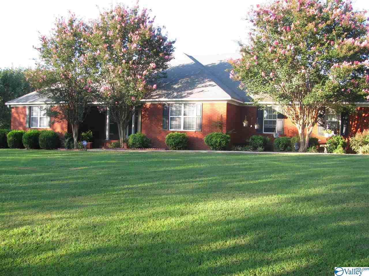 811 County Road 379 - Photo 1