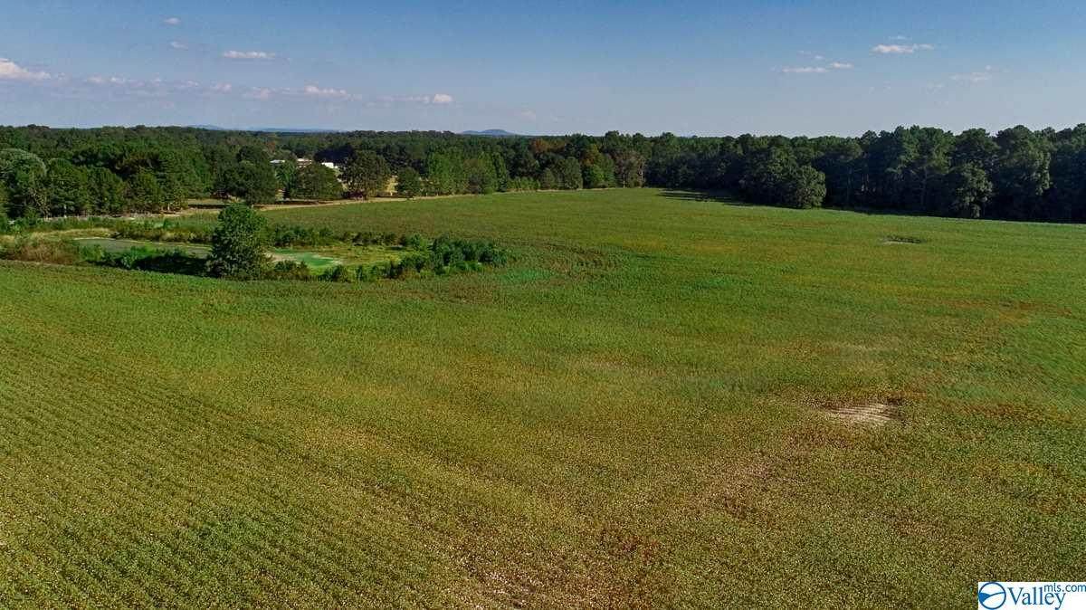 000 Bethel Road - Photo 1