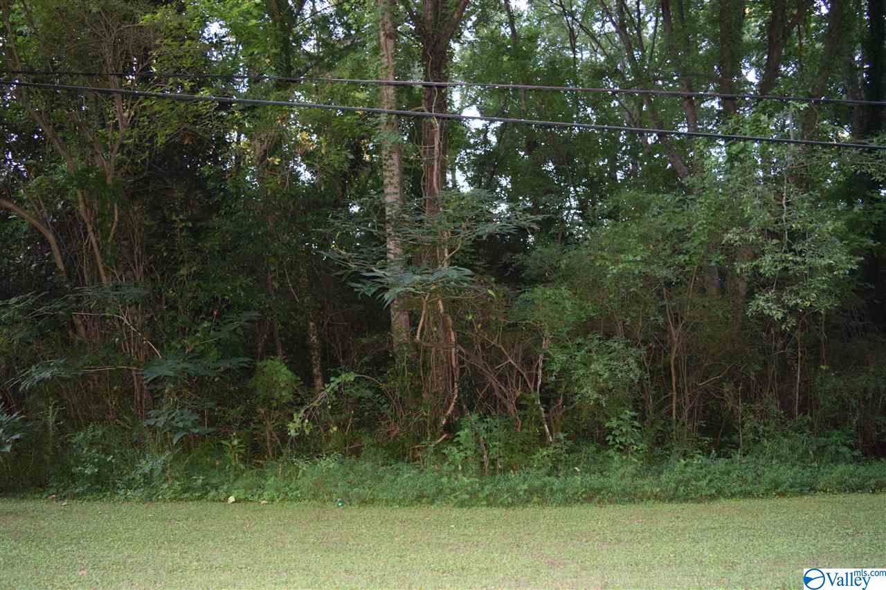 0 Debow Street - Photo 1