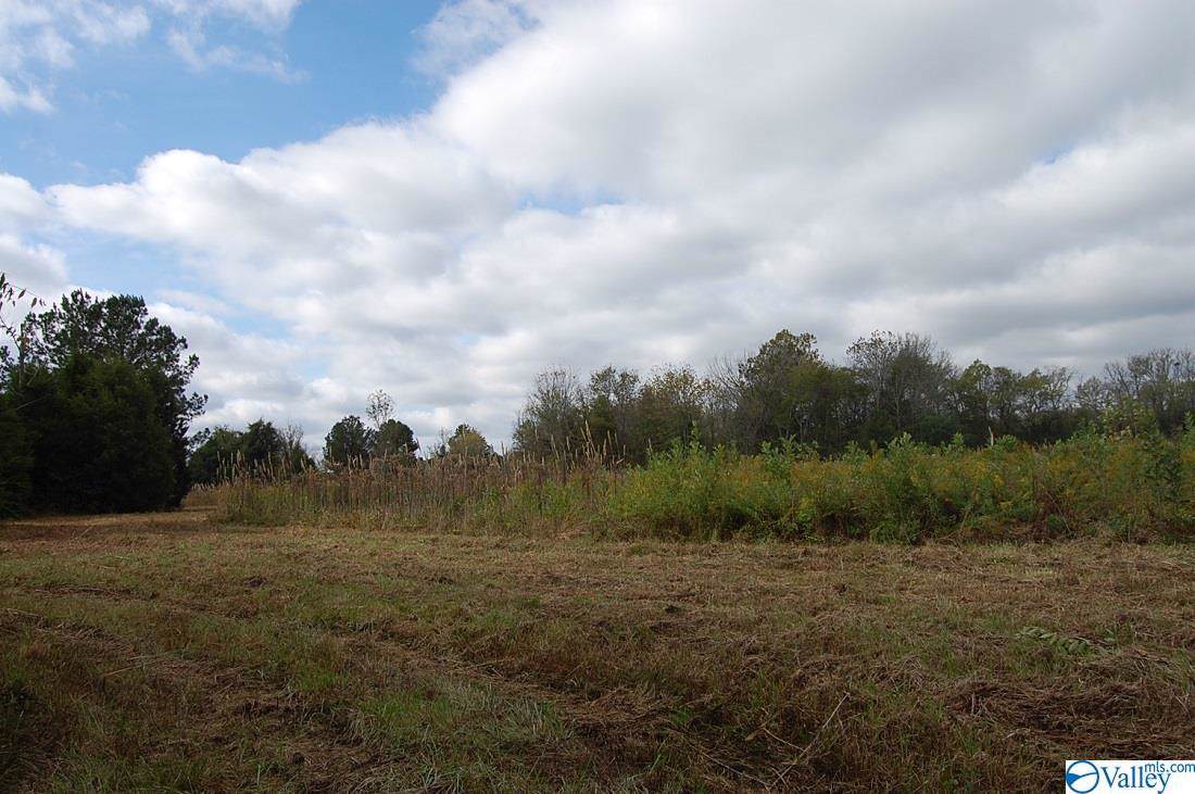 00 County Road 110 - Photo 1