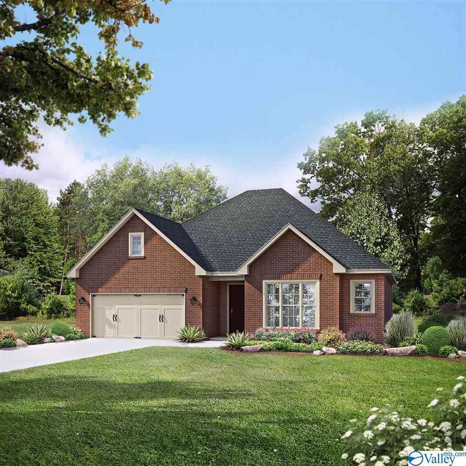 245 Dustin Lane - Photo 1