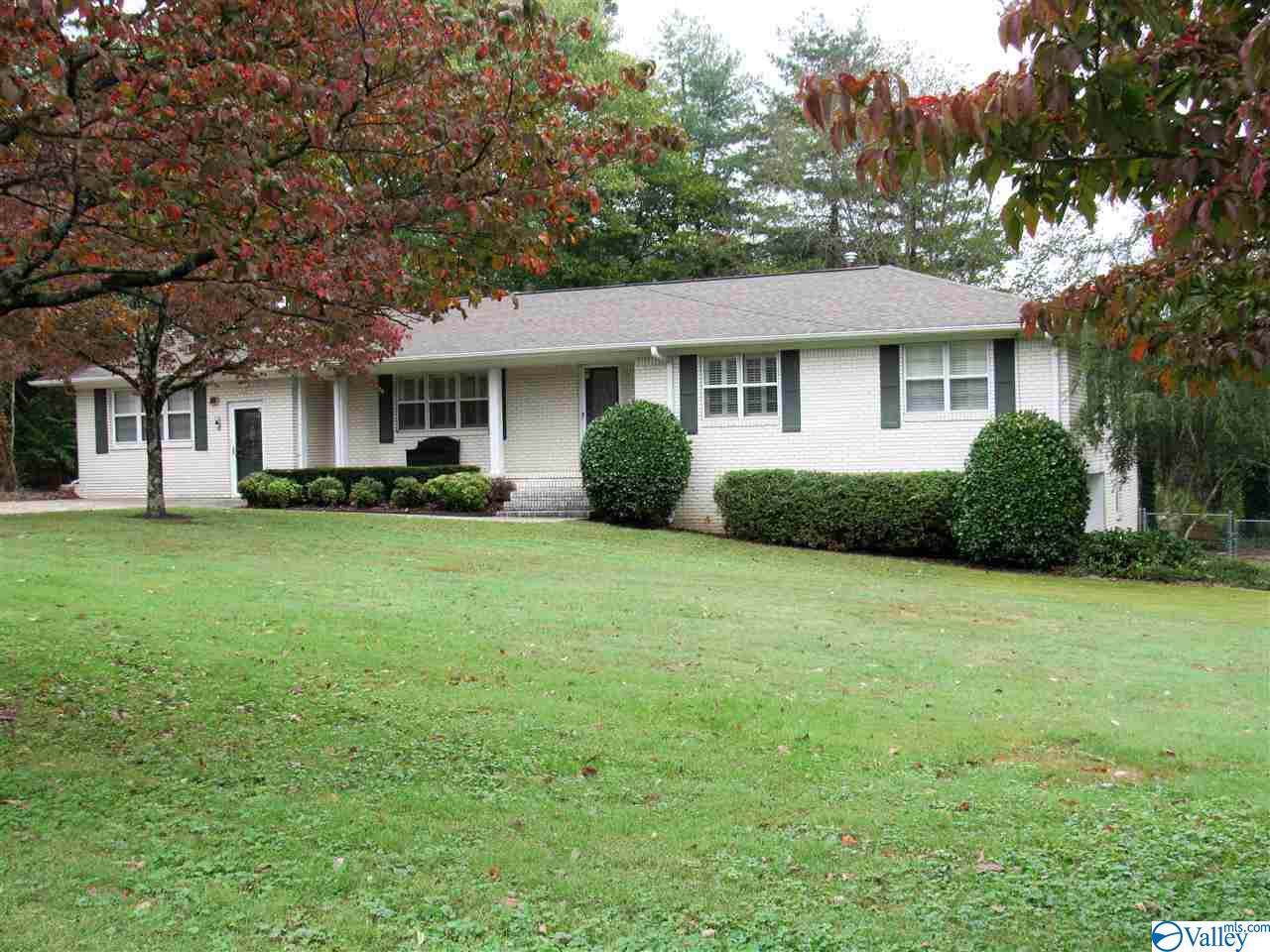 805 Lawrence Avenue - Photo 1