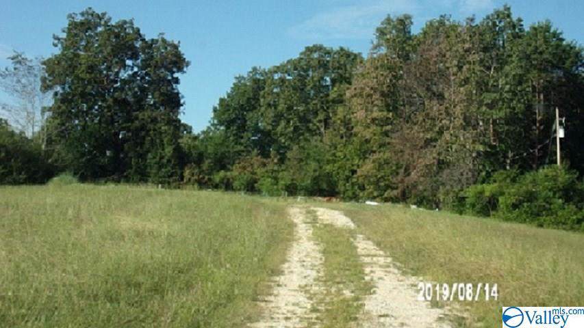 654 County Road 46 - Photo 1