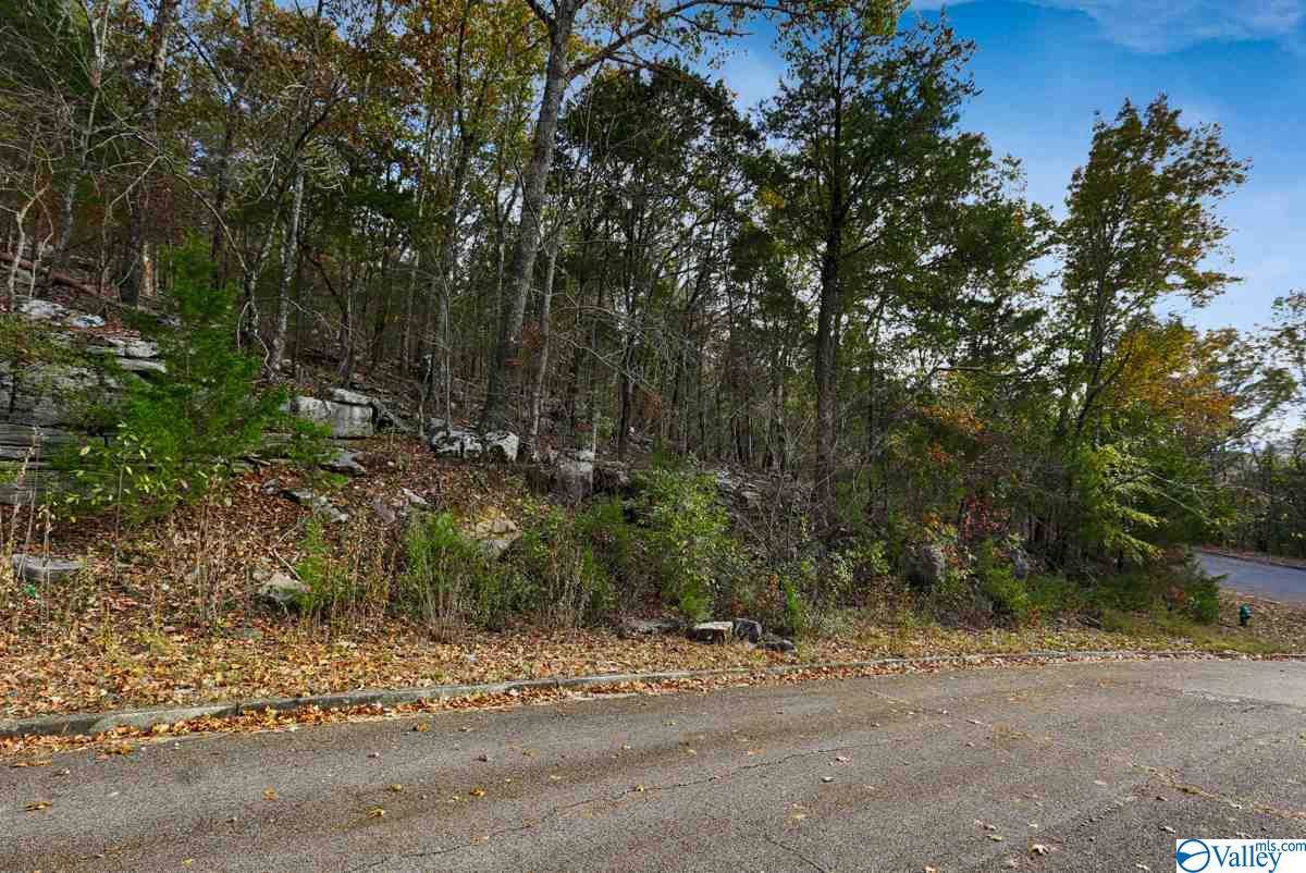 14087 Stonefield Trail - Photo 1 14087 Stonefield Trail - Photo 1