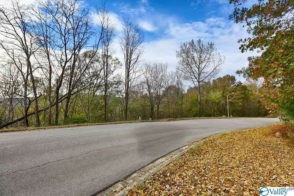 16009 Greentree Trail - Photo 1 16009 Greentree Trail - Photo 1