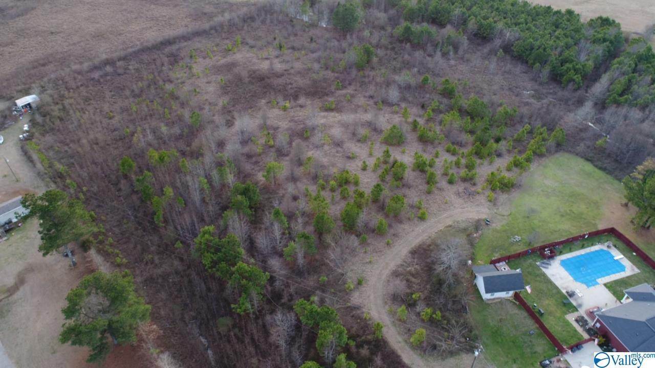 00 Alabama Hwy 157 - Photo 1