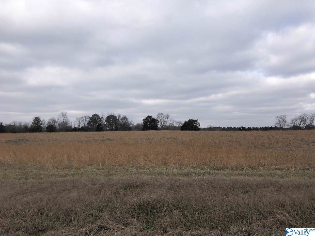 000 County Road 226 - Photo 1