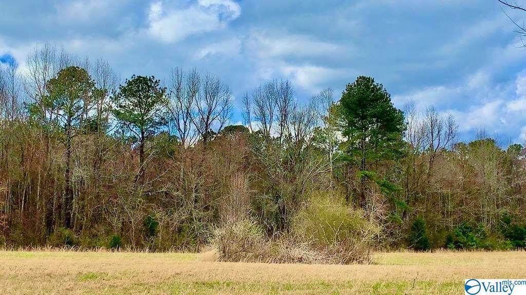Lot 3 Mack Brown Road - Photo 1