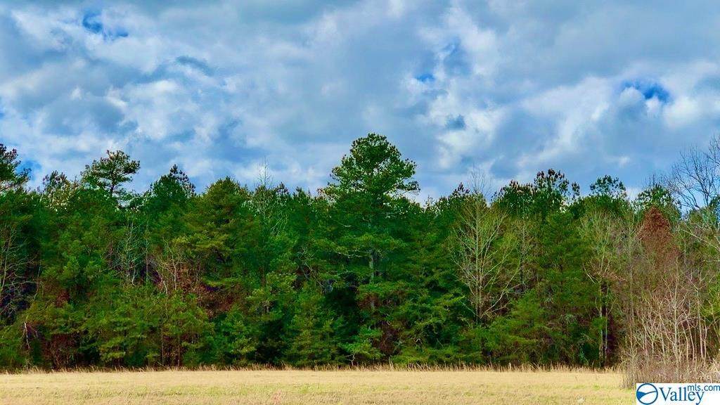 Lot 4 Mack Brown Road - Photo 1