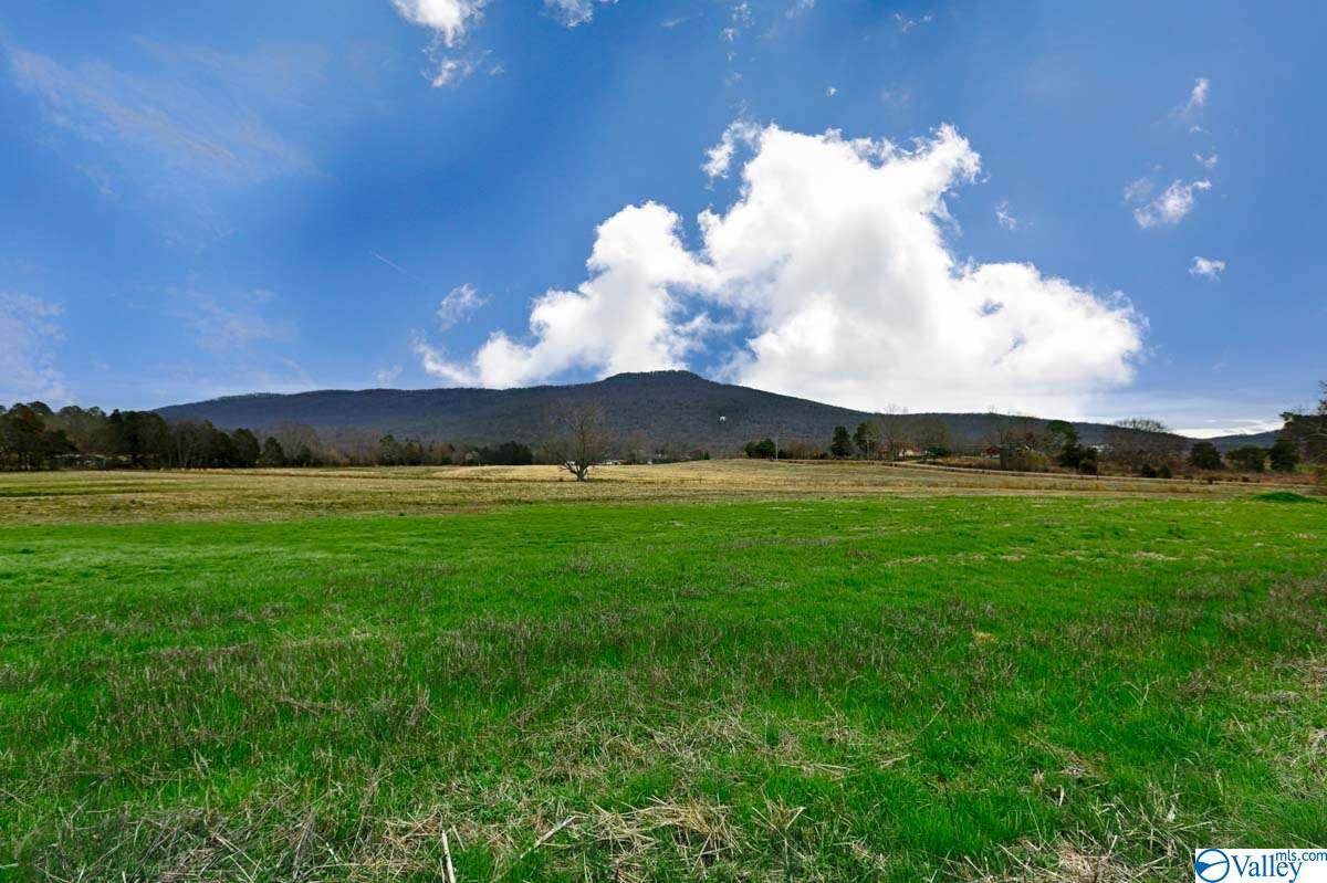 1835 Gurley Pike - Photo 1 1835 Gurley Pike - Photo 1