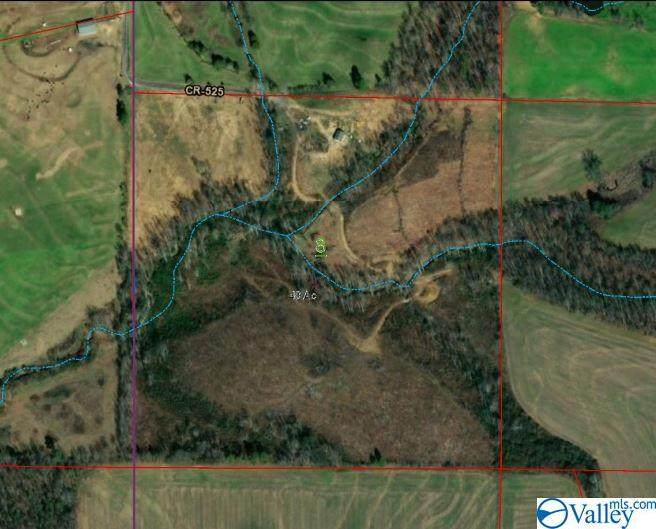 872 County Road 525 - Photo 1