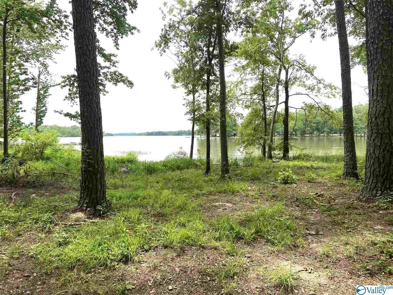 5885 Kelly Street - Photo 1