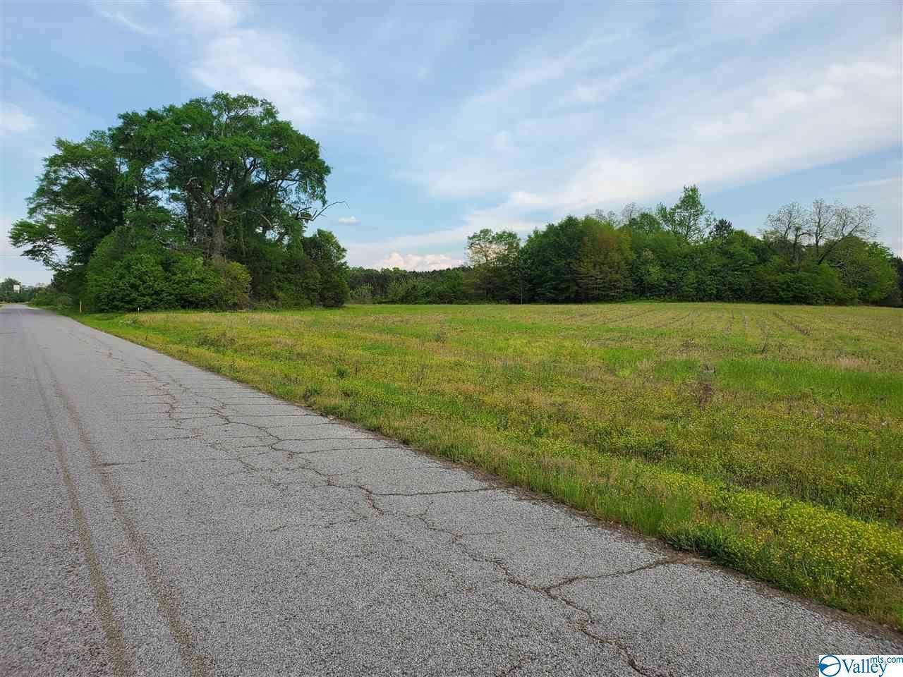 2280 Old Highway 411 - Photo 1