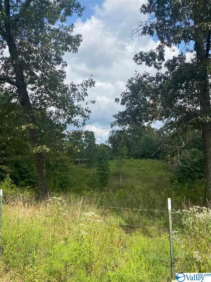 2865 County Road 130 - Photo 1