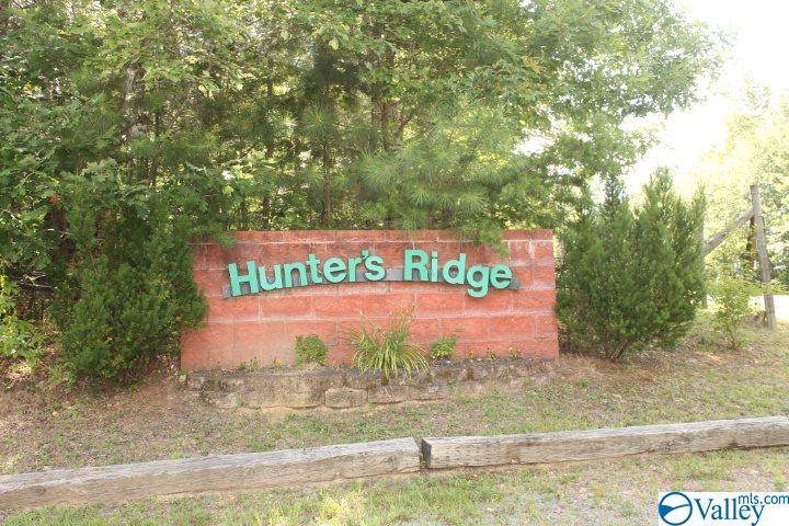 lot 6 Hunters Ridge Road - Photo 1